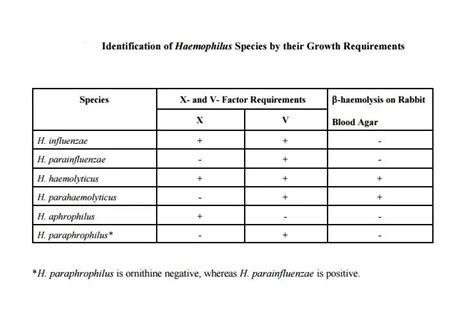 haemophilus x and v factors